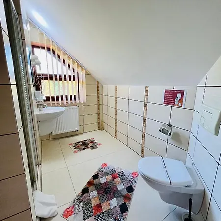 Pensiune Pensiunea Andias 4*