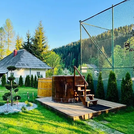 Pensiunea Andias 4*