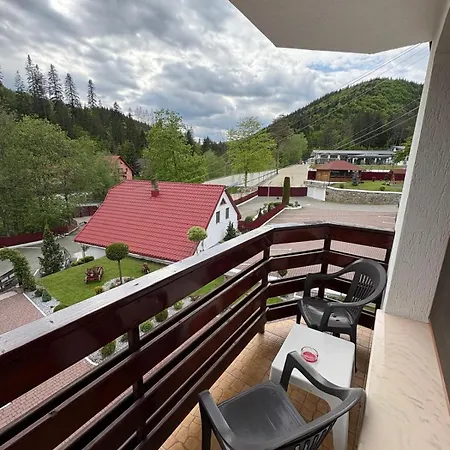 Pensiune Pensiunea Andias 4*
