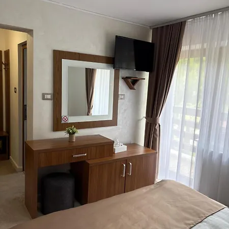 Pensiunea Andias 4*