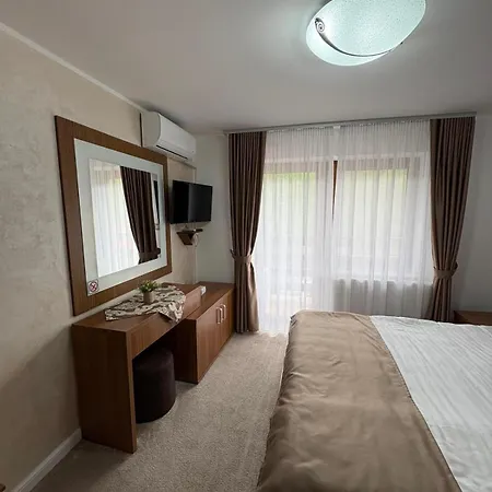 Pensiune Pensiunea Andias 4*