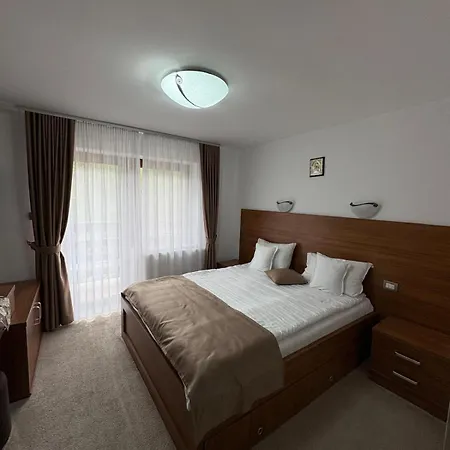 Pensiune Pensiunea Andias 4*